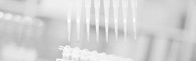 pipette dispensing liquid