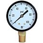 AMETEK - US Gauge P500-163283