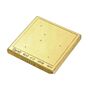 Starrett PT05196 67939 
