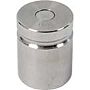 Troemner 1313 400 g Class F Test Weight with No Certificate