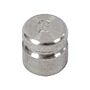 Troemner 1332W 2 g Class F Test Weight with NVLAP Certificate