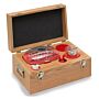 Troemner 7217-1 1 kg-1 mg Analytical Precision Class 1 Weight Set
