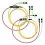 Fluke Networks CFM-TRC-S-MPO24P Test Reference Cord Kit for SM MPO 24 Unpinned Cables