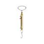 Ametek Chatillon IN-006M Brass Linear Scale,6lb x 1oz, 