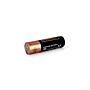 MadgeTech MN1500 Standard AA Battery 