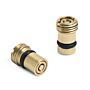 Ralston Instruments DPPV-0040 (1) Pressure & (1) Vacuum Check Valve AStainless Steelemblies (DPPV), Brass