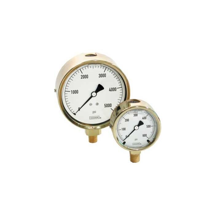 Noshok 25-310-3000PSI-MIP 