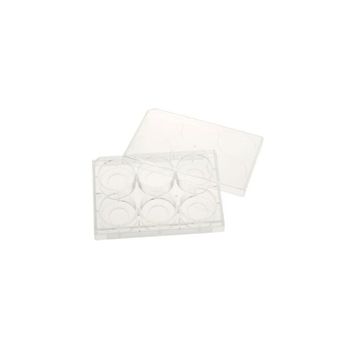 Celltreat 229107 6 Well Tissue Culture Plate with Lid, 20mm Glass Bottom