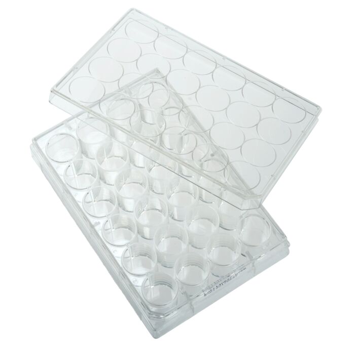 Celltreat 24 Well Non-treated Plate with Lid, Individual, Sterile, CS/100