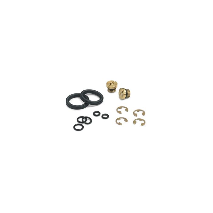 Ralston Instruments DP0V-REPK DP0V Pump Repair Kit