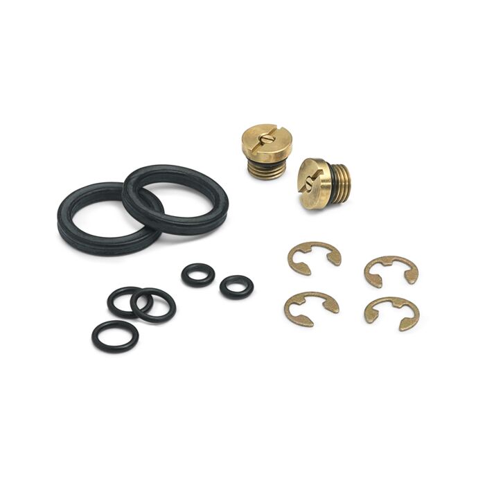 Ralston Instruments DV0V-REPK DV0V Pump Repair Kit