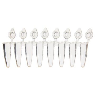 BrandTech Scientific P1200 PCR Rigid 8-tube strips w/ind att. flat caps, clear, 0.2mL