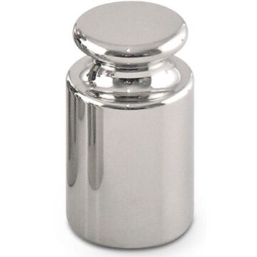 Rice Lake 111934 100g Weight, Class M2, Stainless Steel