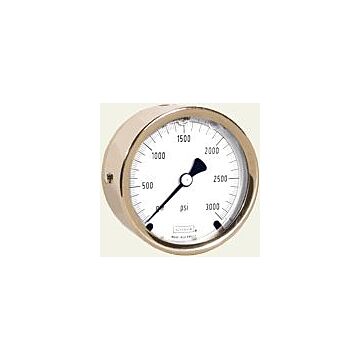 Noshok 25-310-300PSI