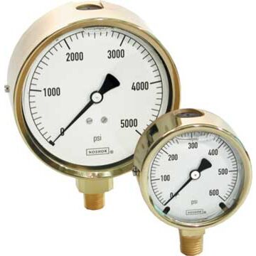 Noshok 25-310-3000PSI-MIP 