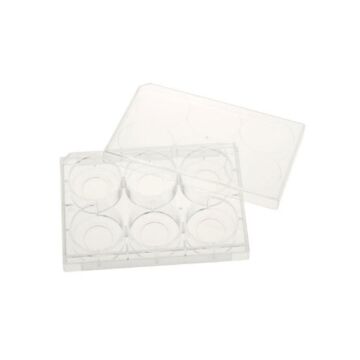 CellTreat 6 Well Tissue Culture Plate with Lid, 20mm Glass Bottom, 5/case