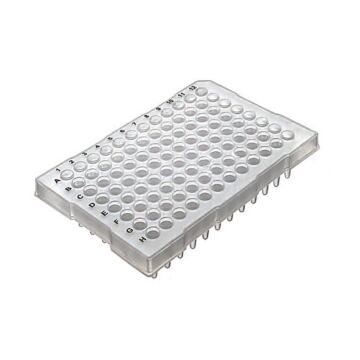 Labcon PCR plate with raised lip for ABI Thermocyclers, 100/box