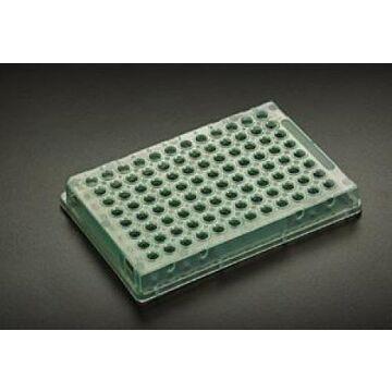 Simport 96 Wells Full Skirt PCR Amplate Thin Wall PCR Plate, Natural, Pack/10