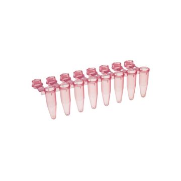 Simport 8 x 0.2ml attached dome cap - red, 125/pack