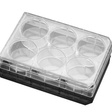 Westnet 356400 6-well clear flat bottom treated multiwell plate with lid