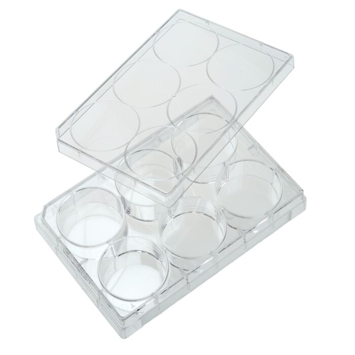 Celltreat 6 Well Tissue Culture Plate with Lid, Individual, Sterile, cs/50
