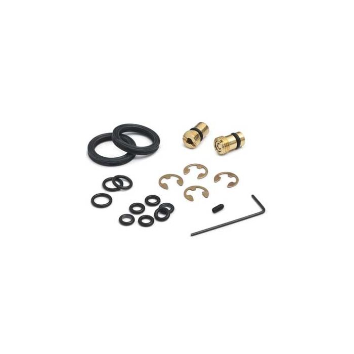 Ralston Instruments DPPV-REPK DPPV Pumps Repair Kit
