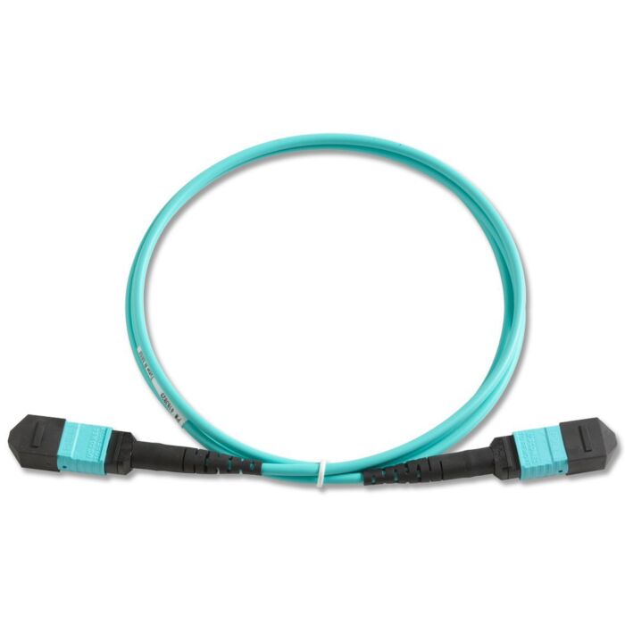 Fluke Networks TRC-MPO-PP-B