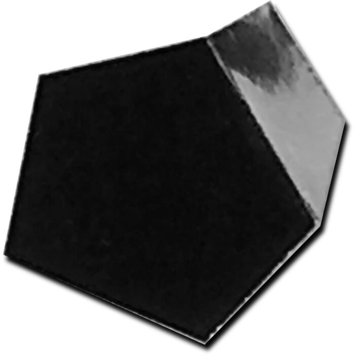 PROCISION 5mg Weight, 304 SS, OIML F1 Accuracy +/- 0.020 mg