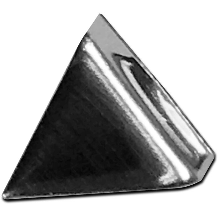 PROCISION 11122807-316L 100mg Weight, 316L SS, OIML F1 +/- 0.05 mg