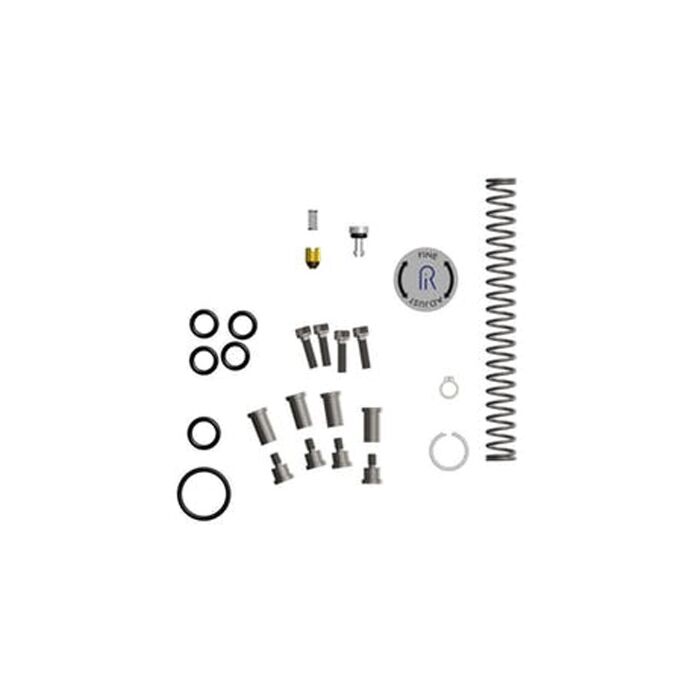 Ralston Instruments DCAP-REPK Repair Kit for DCAP Pumps